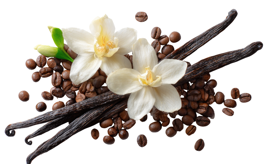 Types of Coffee Beans
